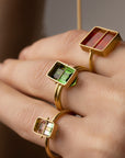 Captured Bicolor Tourmaline Ring