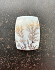 Milky White Dendritic Agate