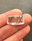 Oblong Dendritic Quartz