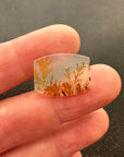 Autumnal Dendritic Agate
