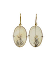 Captured Dendritic Agate Oval Earrings