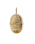 Captured Dendritic Agate Necklace