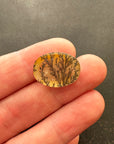 Yellow Ombre Dendritic Quartz