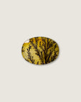 Yellow Ombre Dendritic Quartz