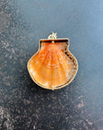 seashell, scallop, necklace, pendant, 14k gold necklace, one of a kind jewelry, fine jewelry