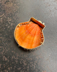 seashell, scallop, necklace, pendant, 14k gold necklace, one of a kind jewelry, fine jewelry