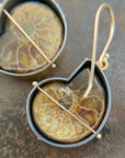 ammonite with embedded turquoise earrings in silver and gold on gold hooks