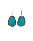 Captured Turquoise Drop Earrings