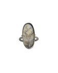 Captured Dendritic Agate Oval Ring