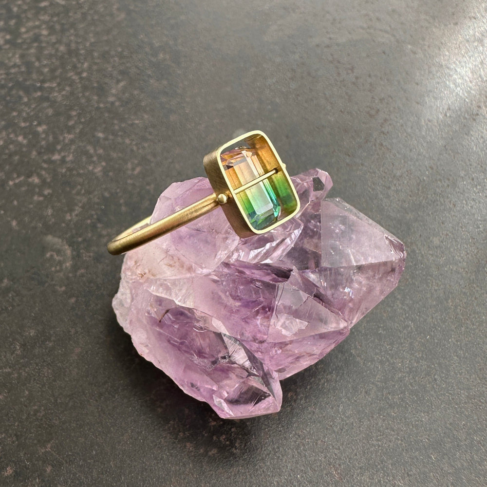 Captured Bicolor Tourmaline Ring