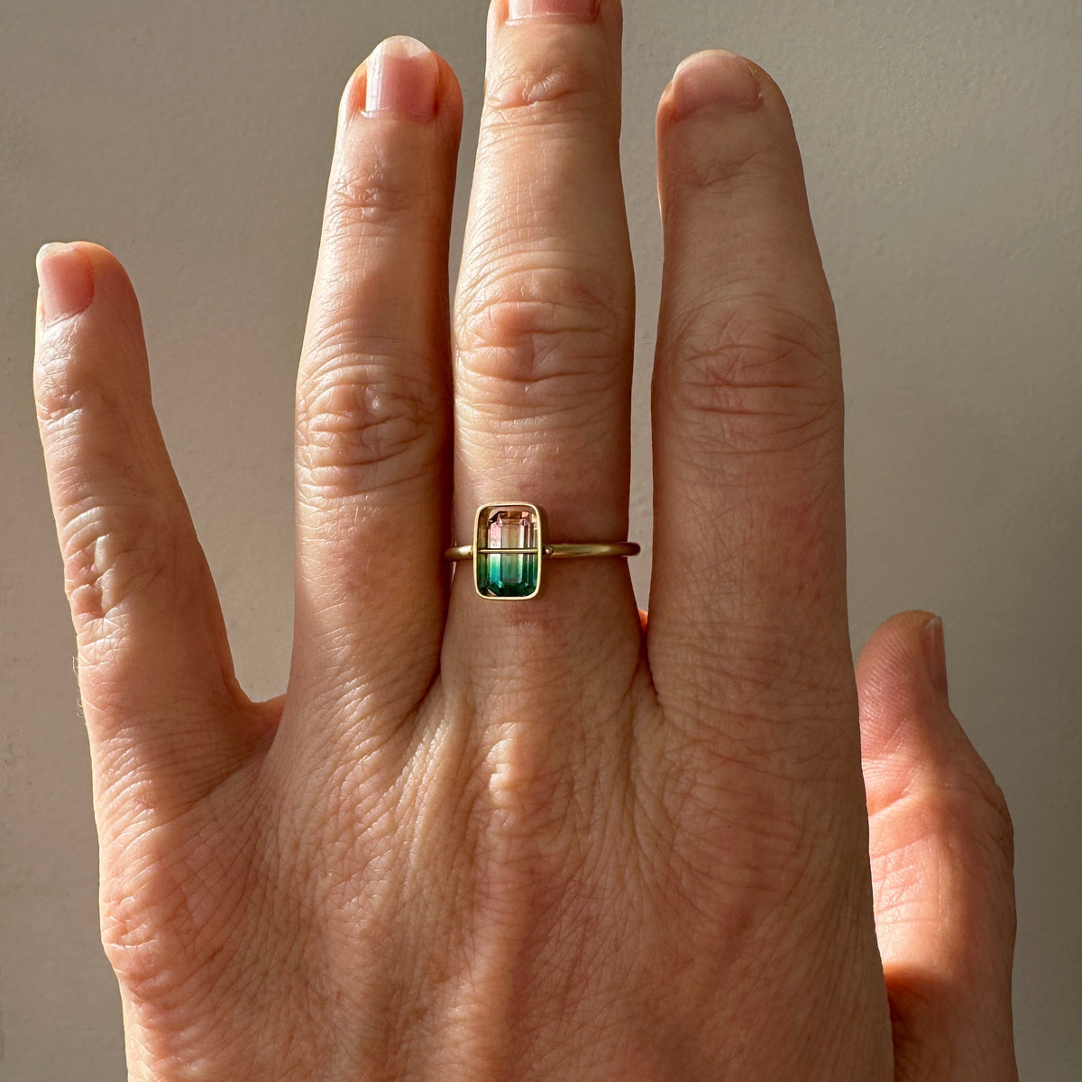 Captured Bicolor Tourmaline Ring