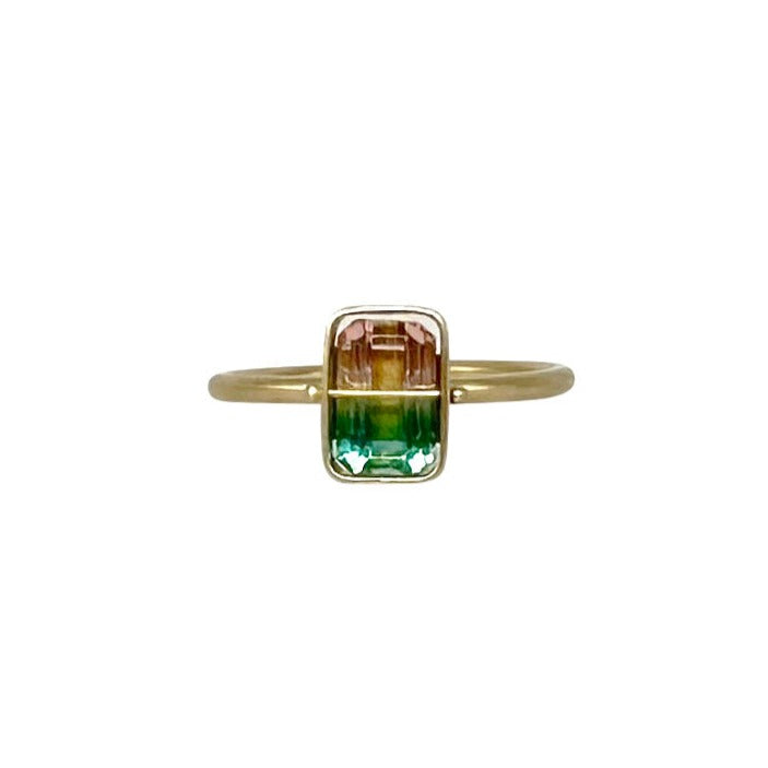 Captured Bicolor Tourmaline Ring