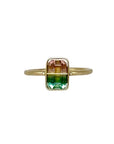 Captured Bicolor Tourmaline Ring