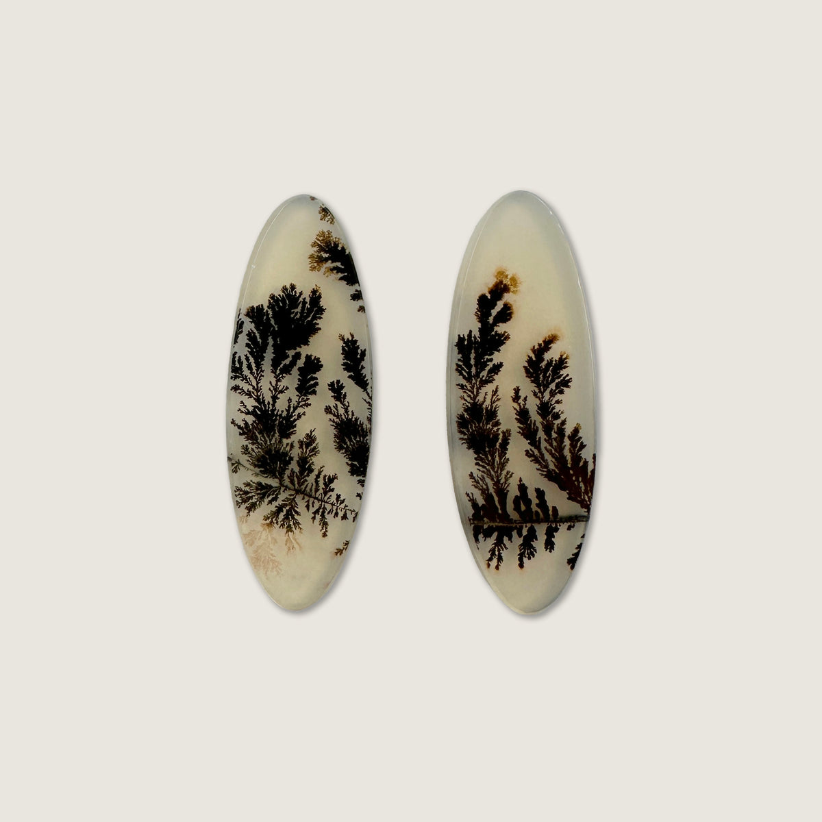 Dendritic Agate Oval Pair