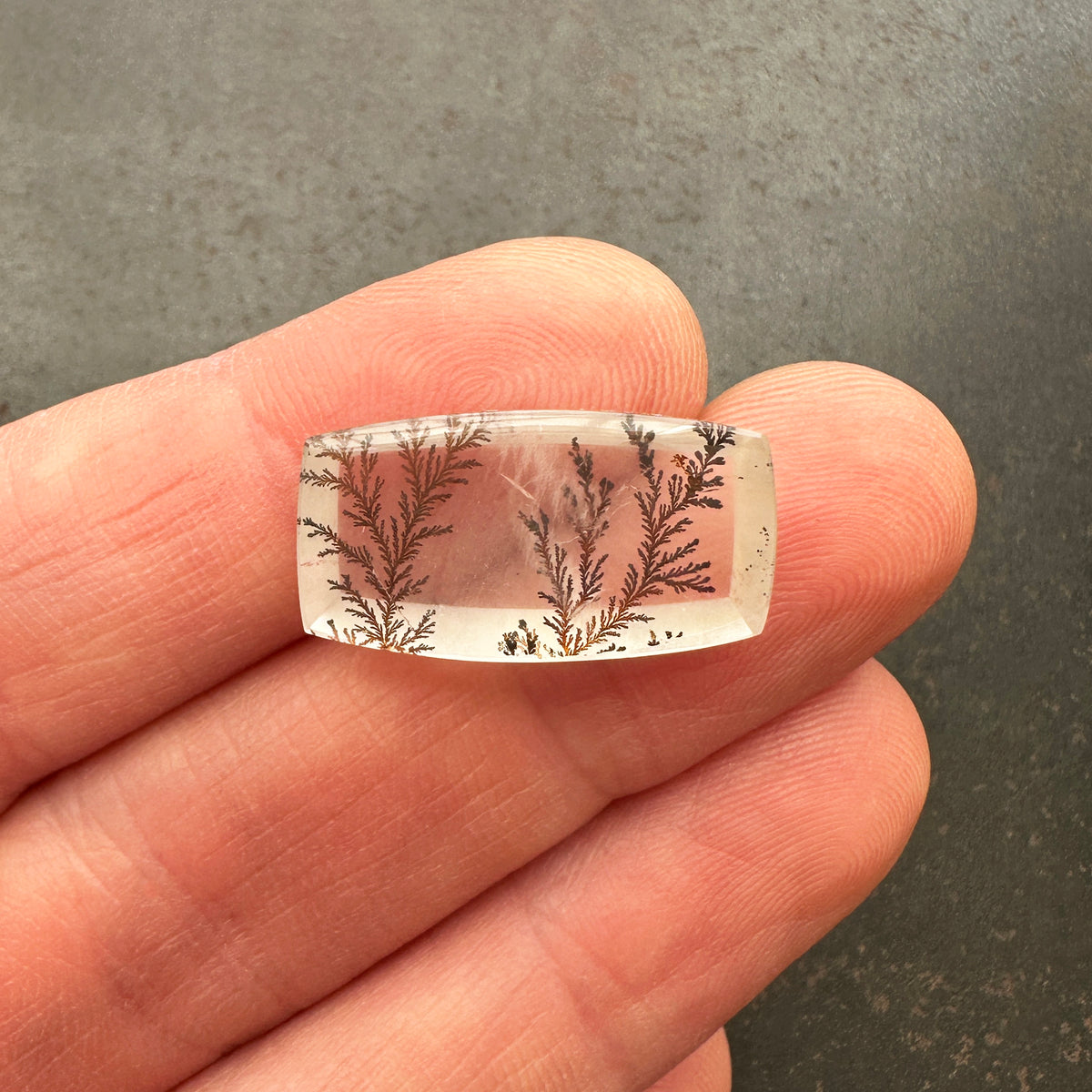 Oblong Dendritic Quartz