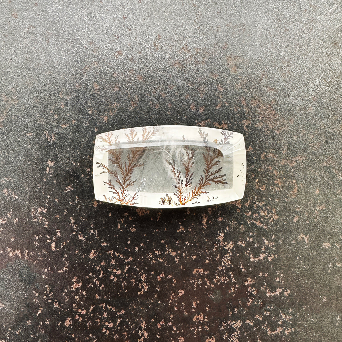 Oblong Dendritic Quartz