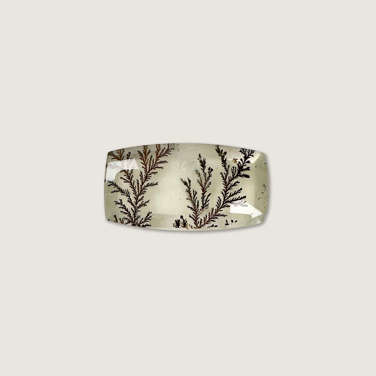Oblong Dendritic Quartz