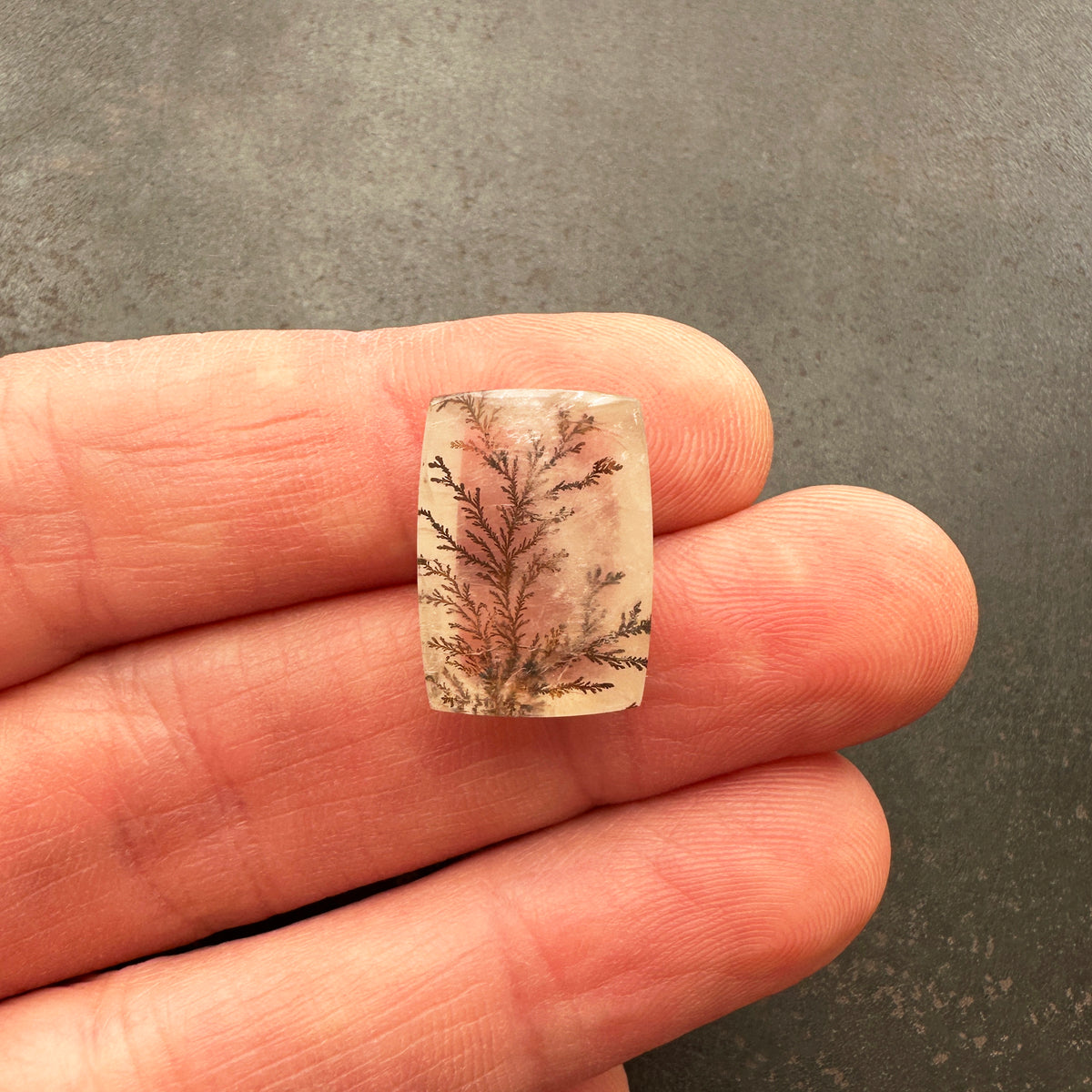Dendritic Quartz