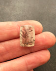 Dendritic Quartz