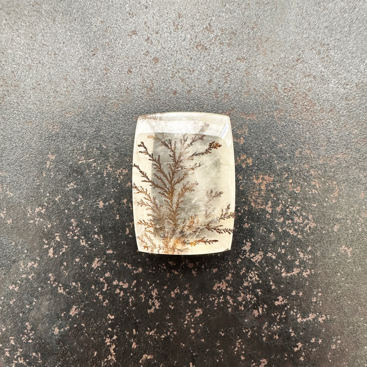 Dendritic Quartz