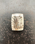 Dendritic Quartz