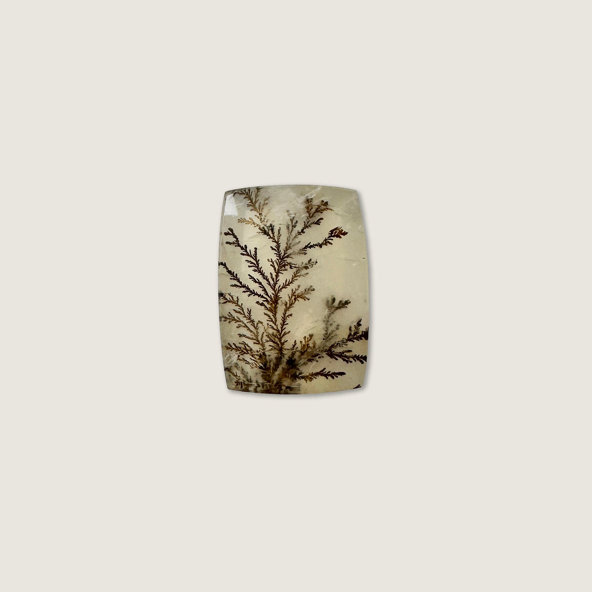 Dendritic Quartz