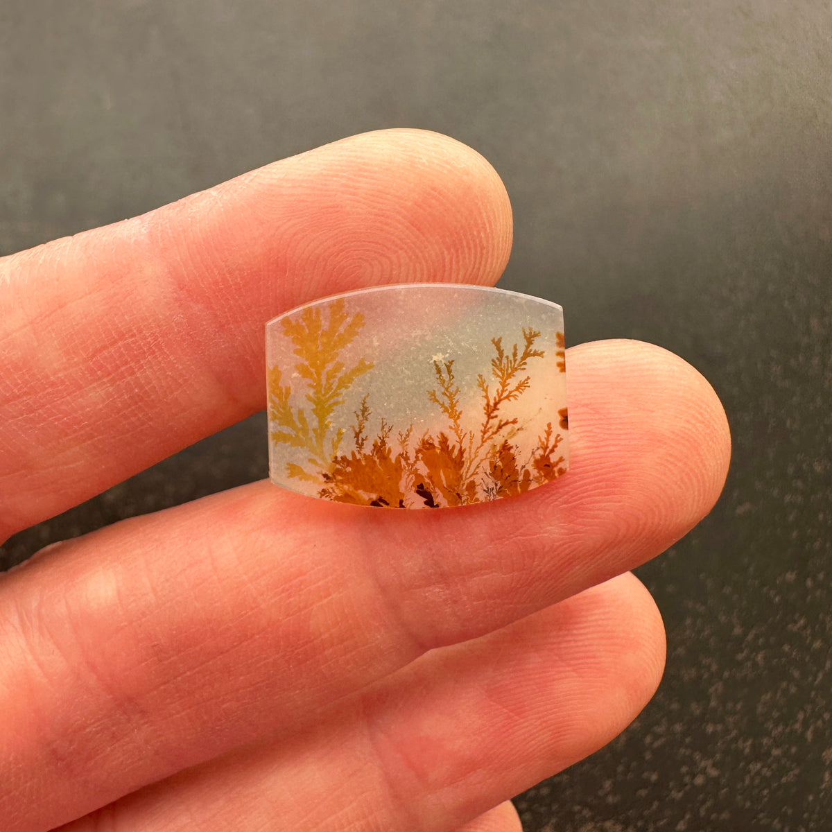 Autumnal Dendritic Agate