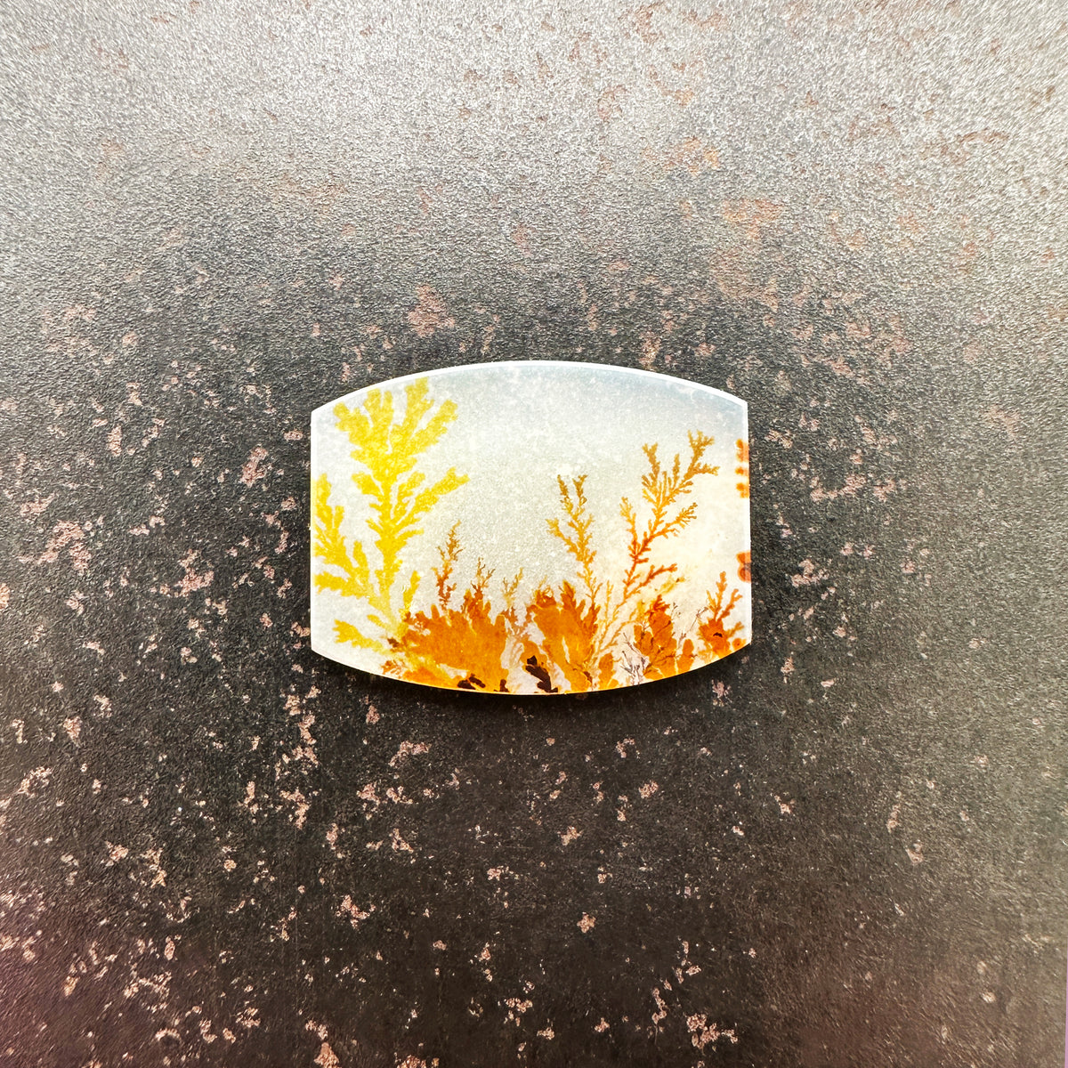 Autumnal Dendritic Agate