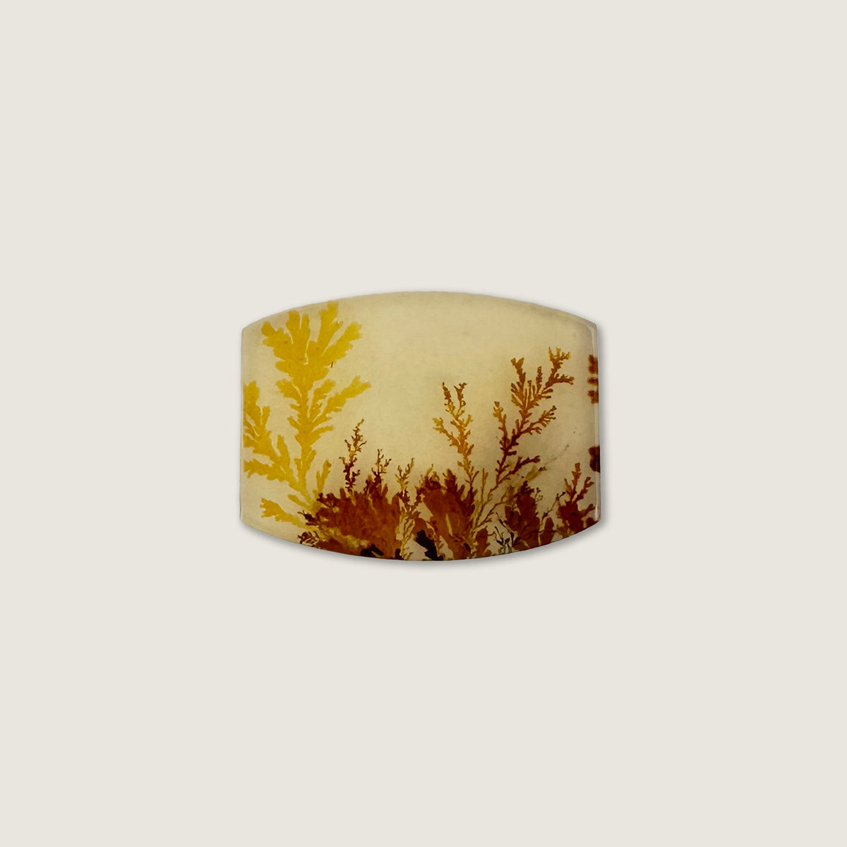 Autumnal Dendritic Agate