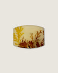 Autumnal Dendritic Agate