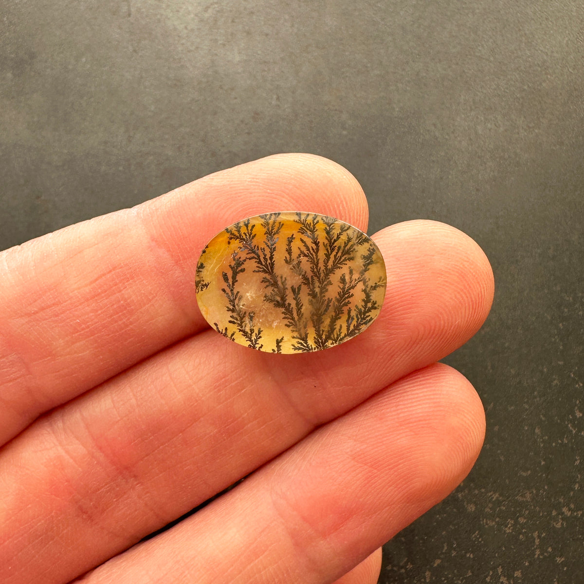 Yellow Ombre Dendritic Quartz
