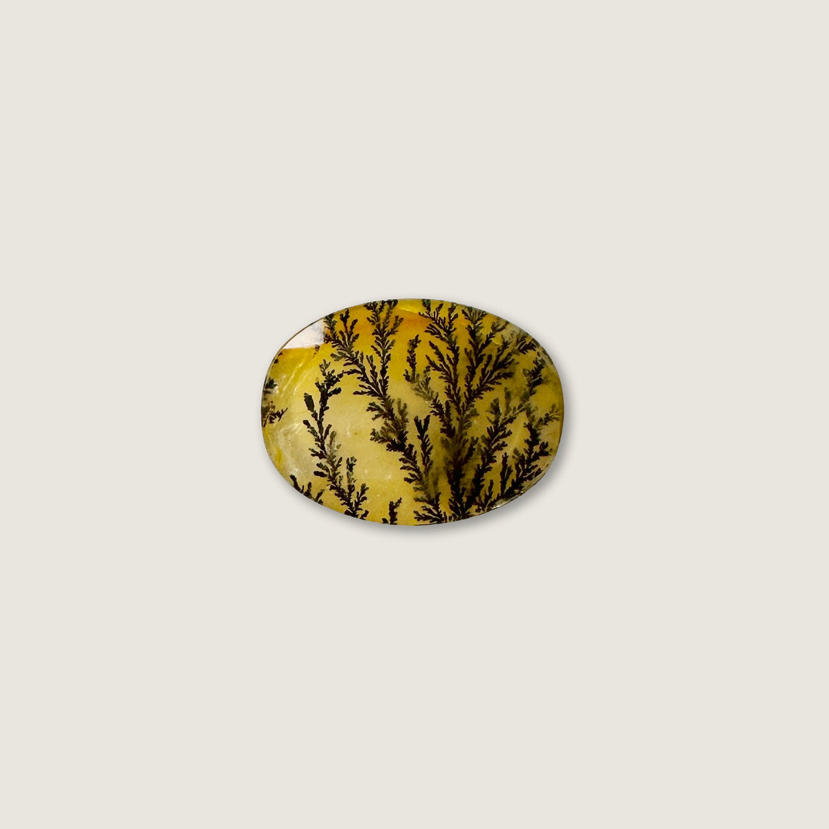 Yellow Ombre Dendritic Quartz