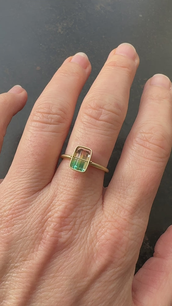 
                
                    Load and play video in Gallery viewer, Captured Bicolor Tourmaline Ring
                
            