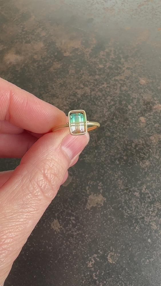 
                
                    Load and play video in Gallery viewer, Captured Bicolor Tourmaline Ring
                
            