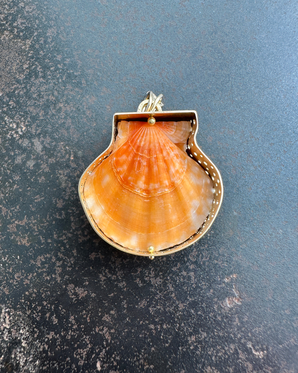 seashell, scallop, necklace, pendant, 14k gold necklace, one of a kind jewelry, fine jewelry