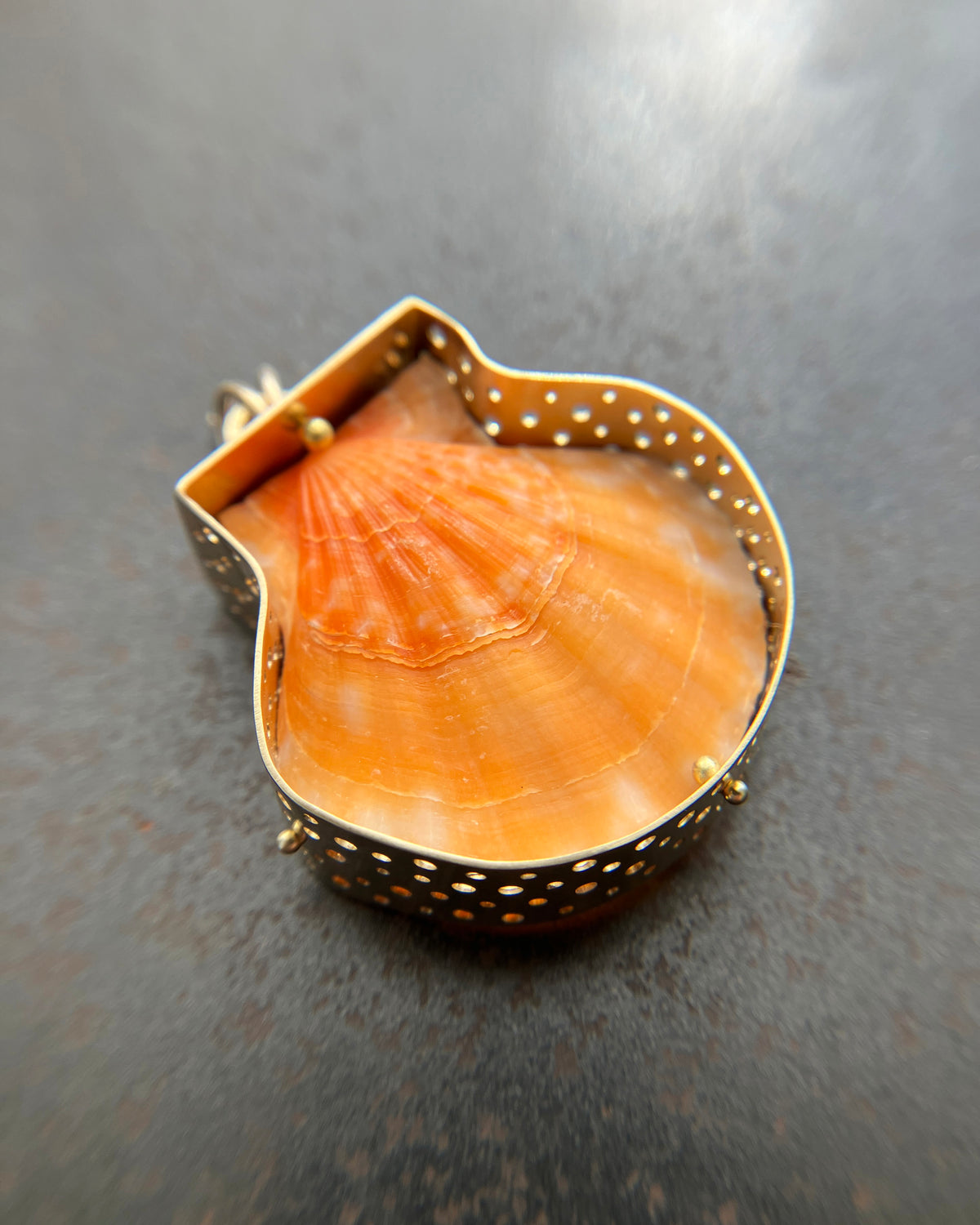 seashell, scallop, necklace, pendant, 14k gold necklace, one of a kind jewelry, fine jewelry