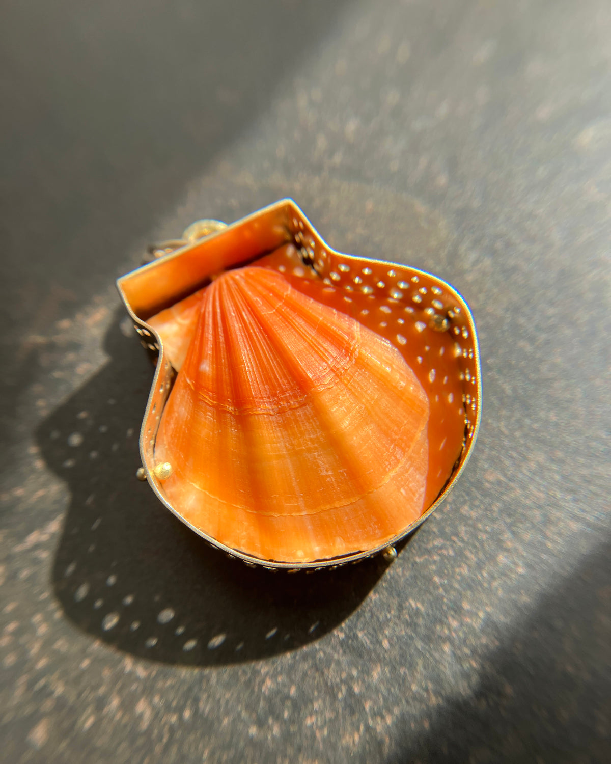 seashell, scallop, necklace, pendant, 14k gold necklace, one of a kind jewelry, fine jewelry