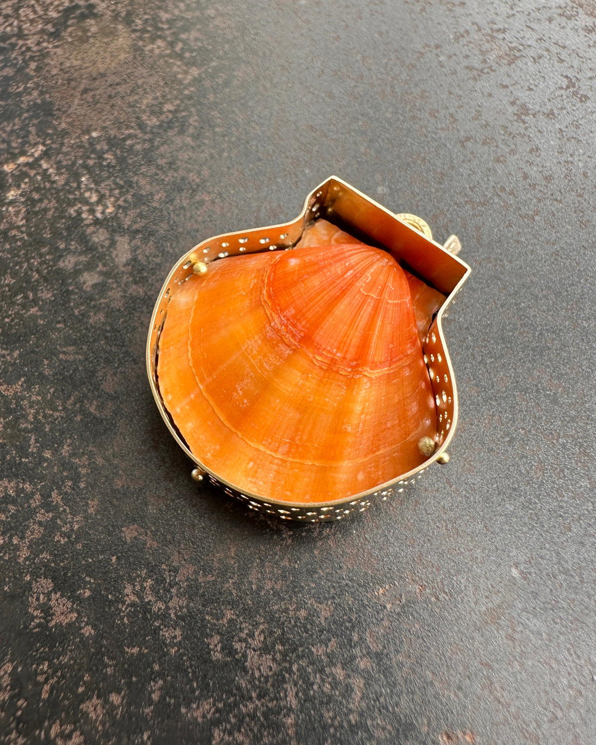 seashell, scallop, necklace, pendant, 14k gold necklace, one of a kind jewelry, fine jewelry
