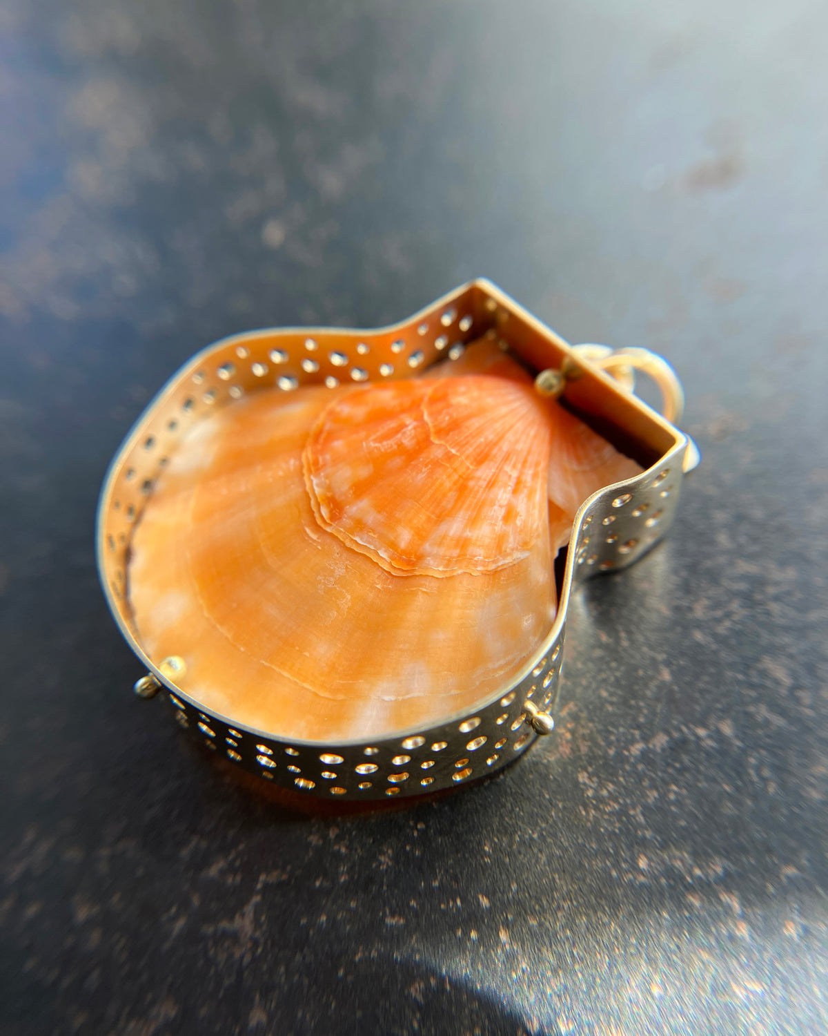 seashell, scallop, necklace, pendant, 14k gold necklace, one of a kind jewelry, fine jewelry