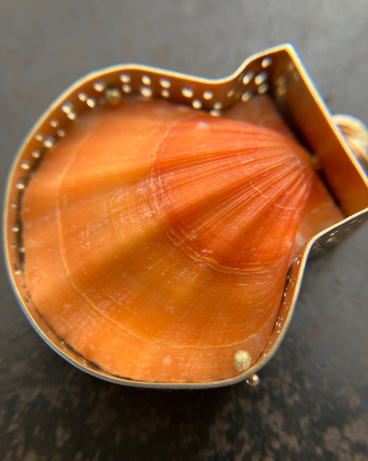 seashell, scallop, necklace, pendant, 14k gold necklace, one of a kind jewelry, fine jewelry