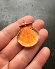 seashell, scallop, necklace, pendant, 14k gold necklace, one of a kind jewelry, fine jewelry