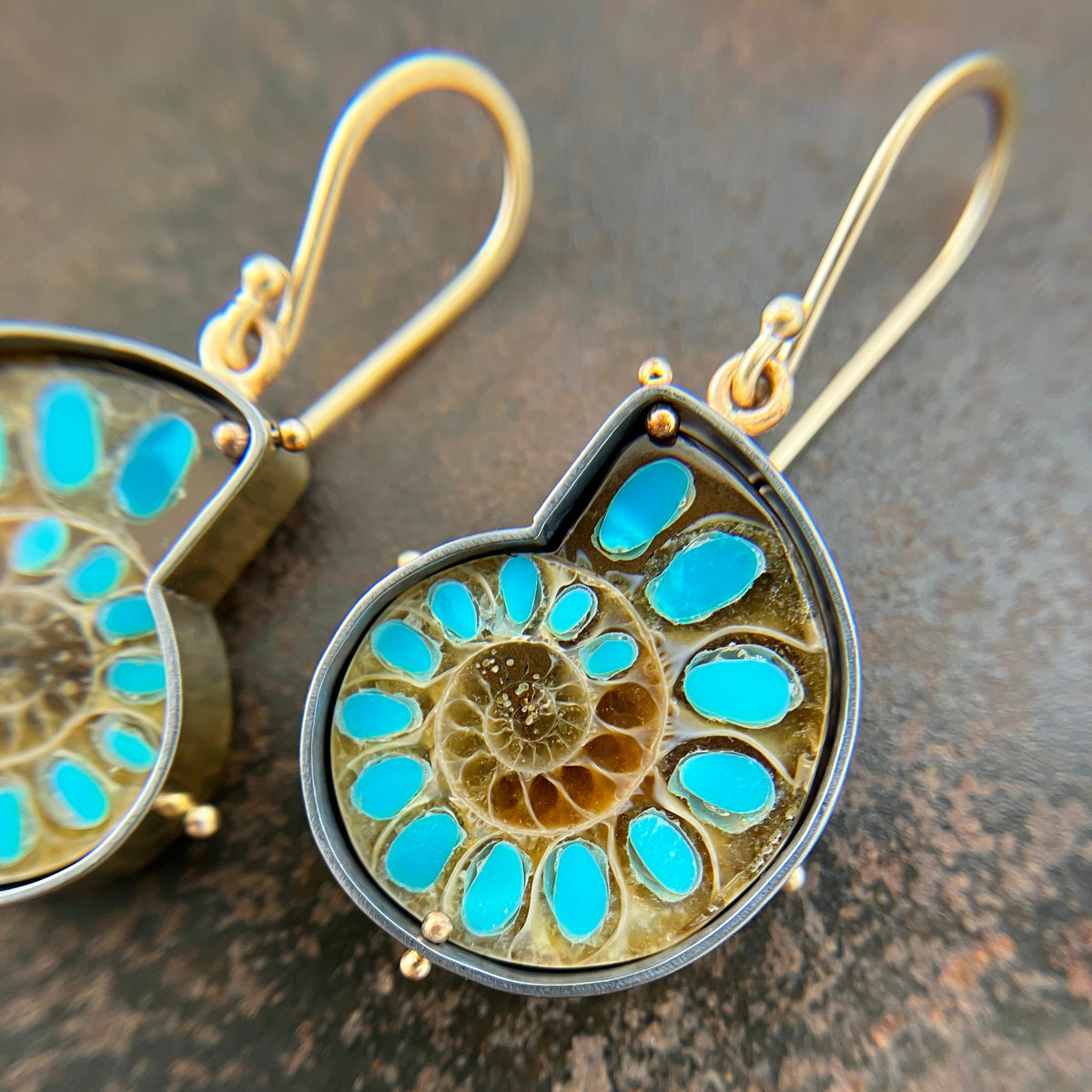 ammonite with embedded turquoise earrings in silver and gold on gold hooks