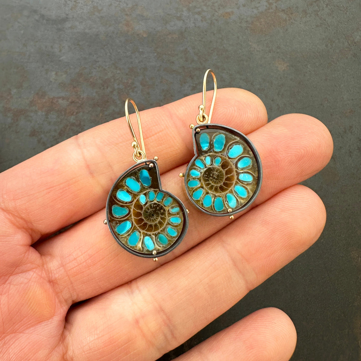 ammonite with embedded turquoise earrings in silver and gold on gold hooks