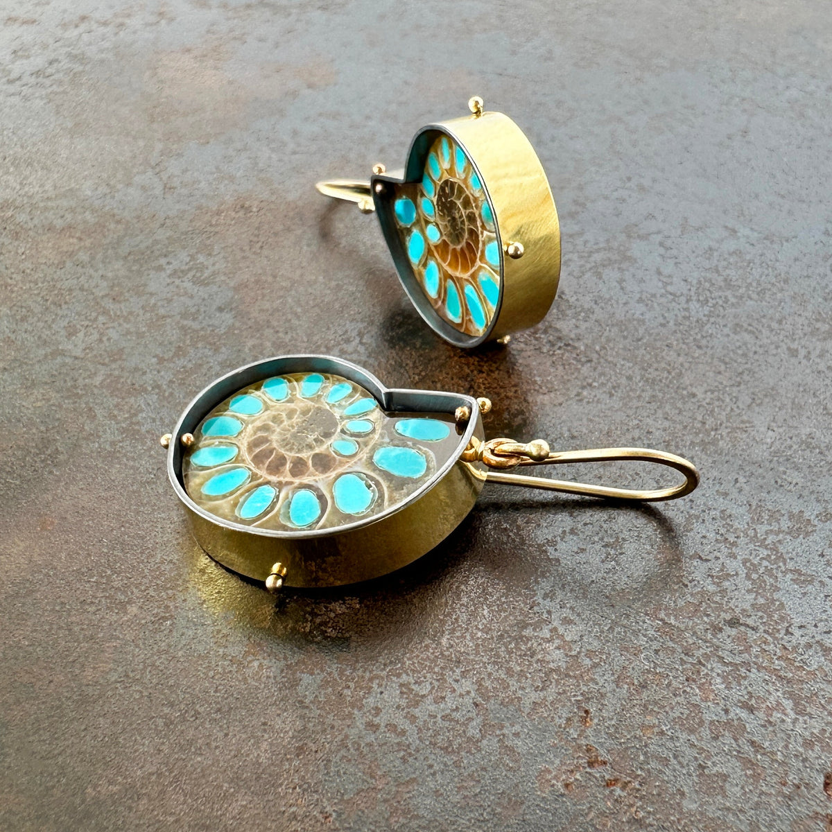 ammonite with embedded turquoise earrings in silver and gold on gold hooks