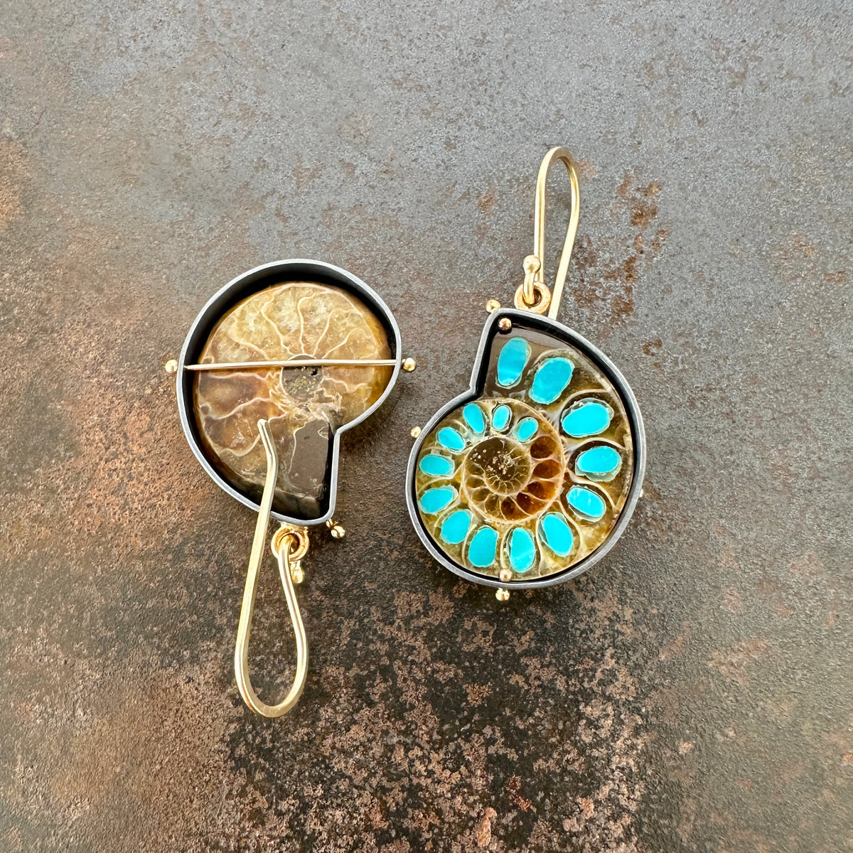 ammonite with embedded turquoise earrings in silver and gold on gold hooks