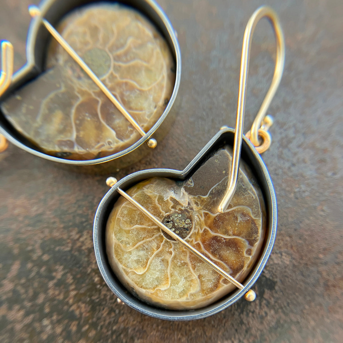 ammonite with embedded turquoise earrings in silver and gold on gold hooks