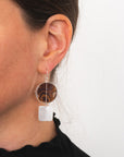 Captured Dendritic Agate Circles and Squares