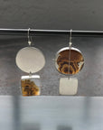 Captured Dendritic Agate Circles and Squares