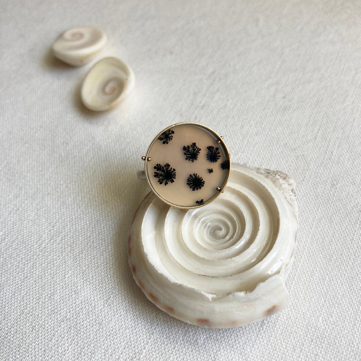 Captured Dendritic Agate Ring