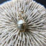 Captured Silver Tahitian Pearl Necklace